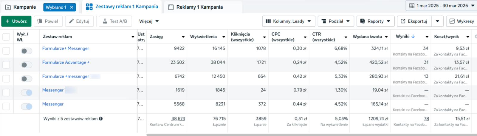 Reklama na FB Lead Generation - domki w Bieszczadach